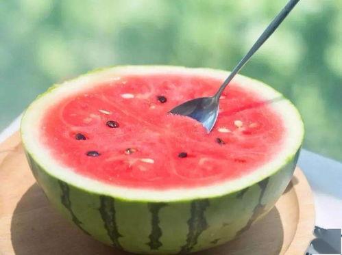 吃瓜网官网免费观看,热门剧集一网打尽!